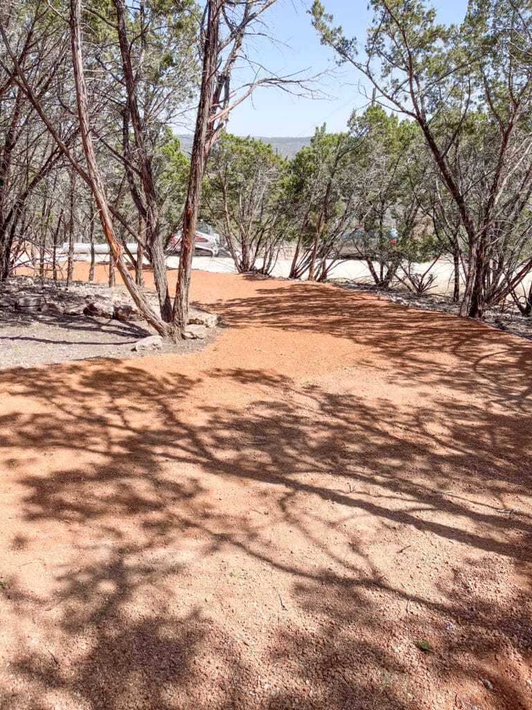Spider Mountains New Beginner MTB Trail - Daddy Long Legs.